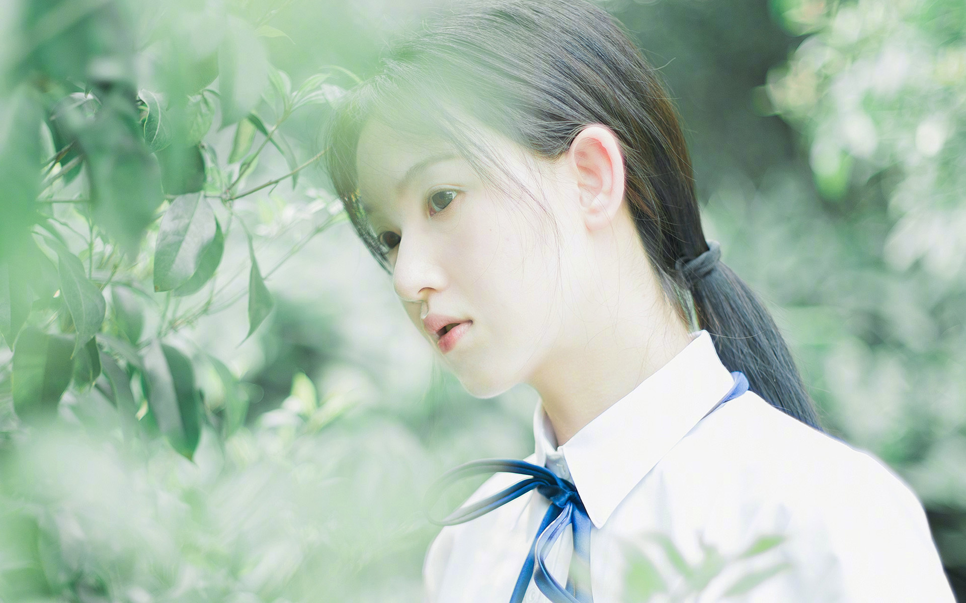 _勇士三分如雨，场场火花四溅_，勇士三分庆祝动作