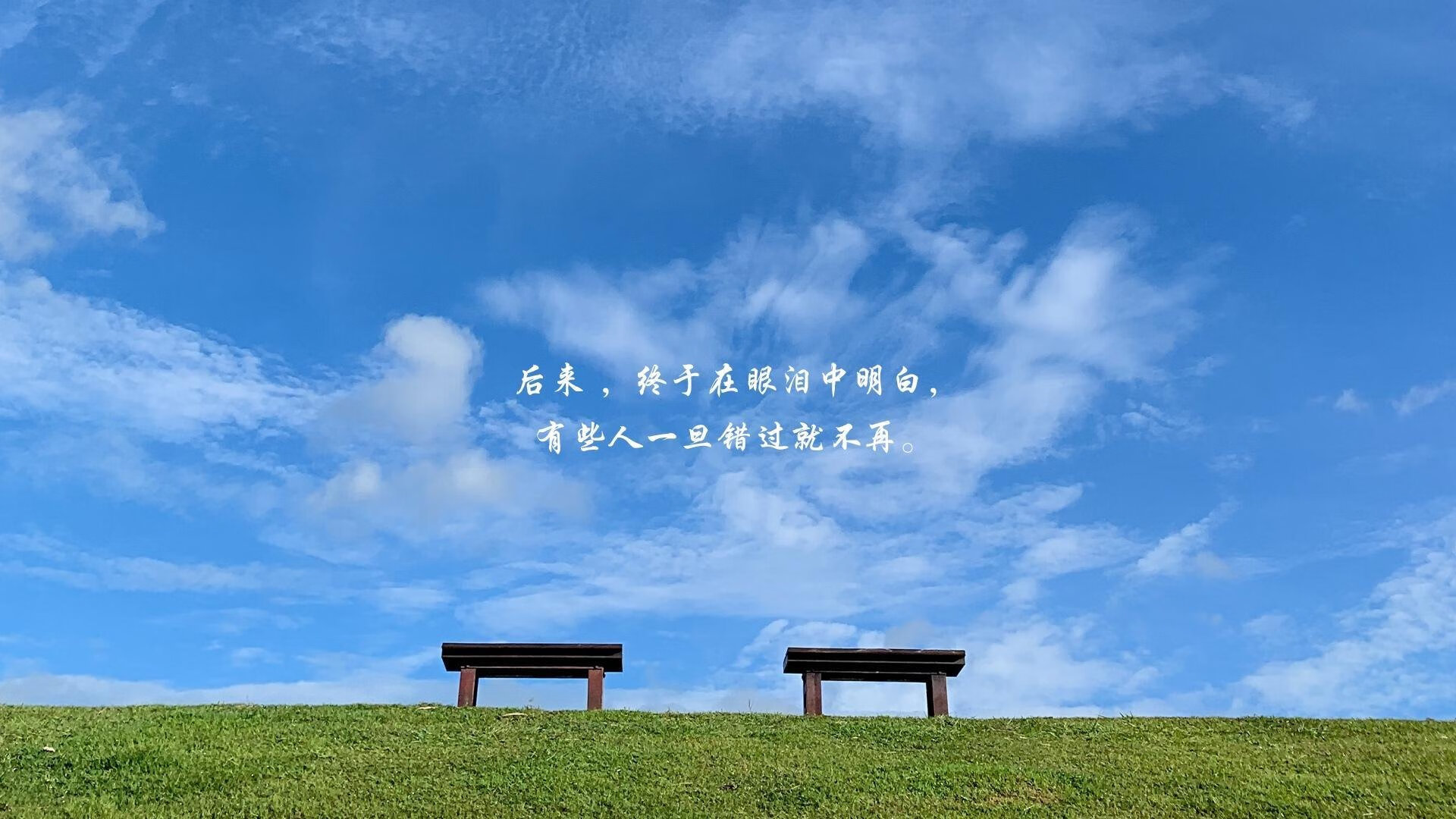 全国极限飞盘冠军赛，团队配合再升级，极限飞盘世界锦标赛