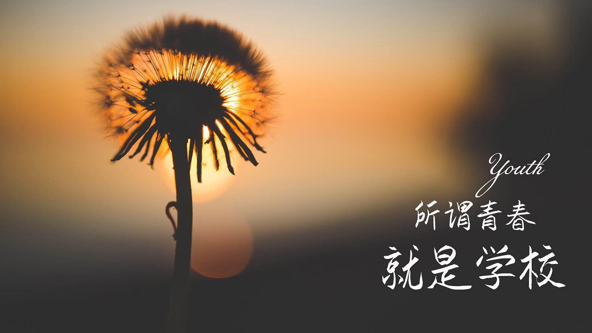 广场舞比赛吸引大量观众参与，广场舞比赛吸引大量观众参与怎么形容