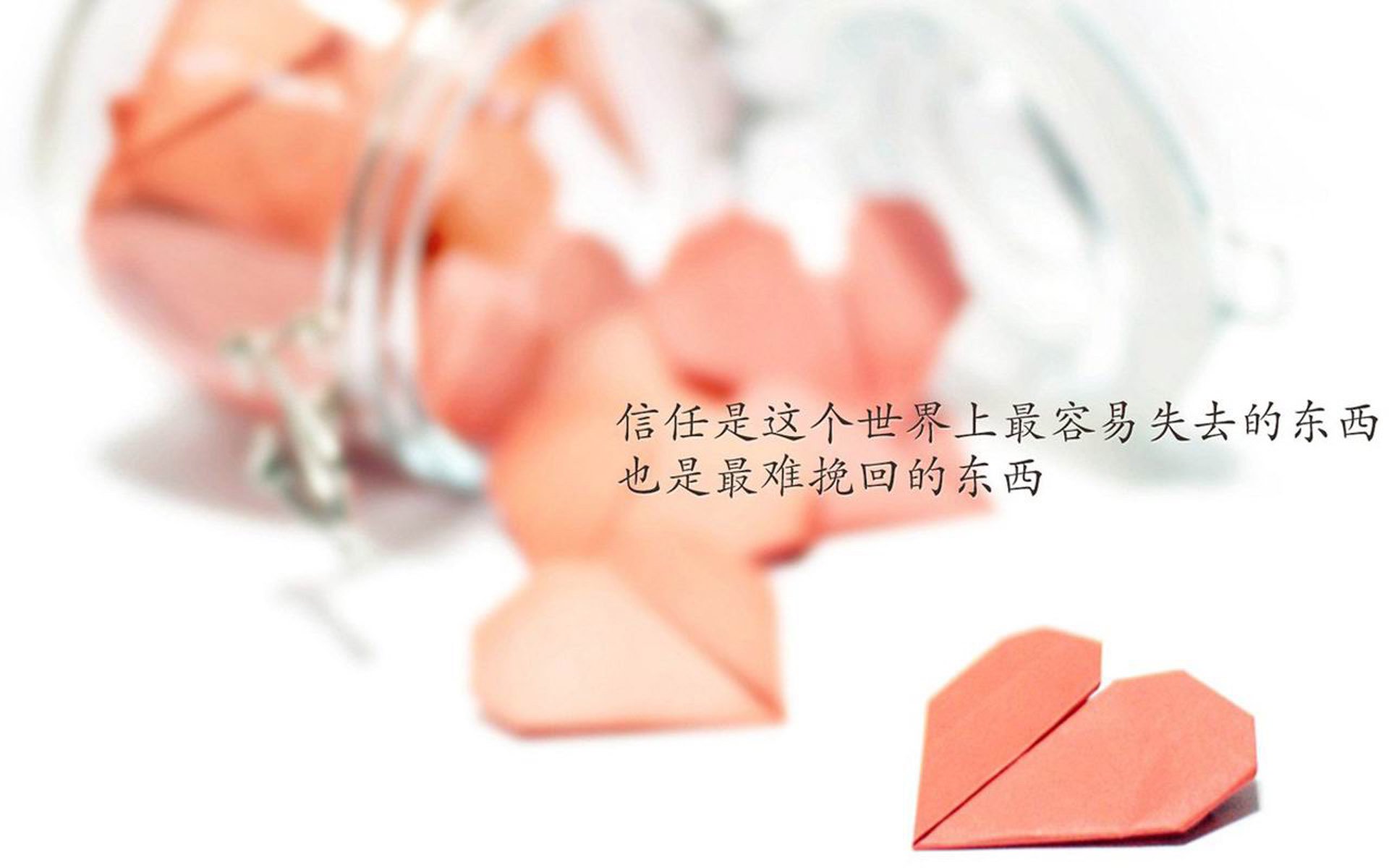 广场舞活动受到媒体广泛报道，广场舞活动受到媒体广泛报道的影响