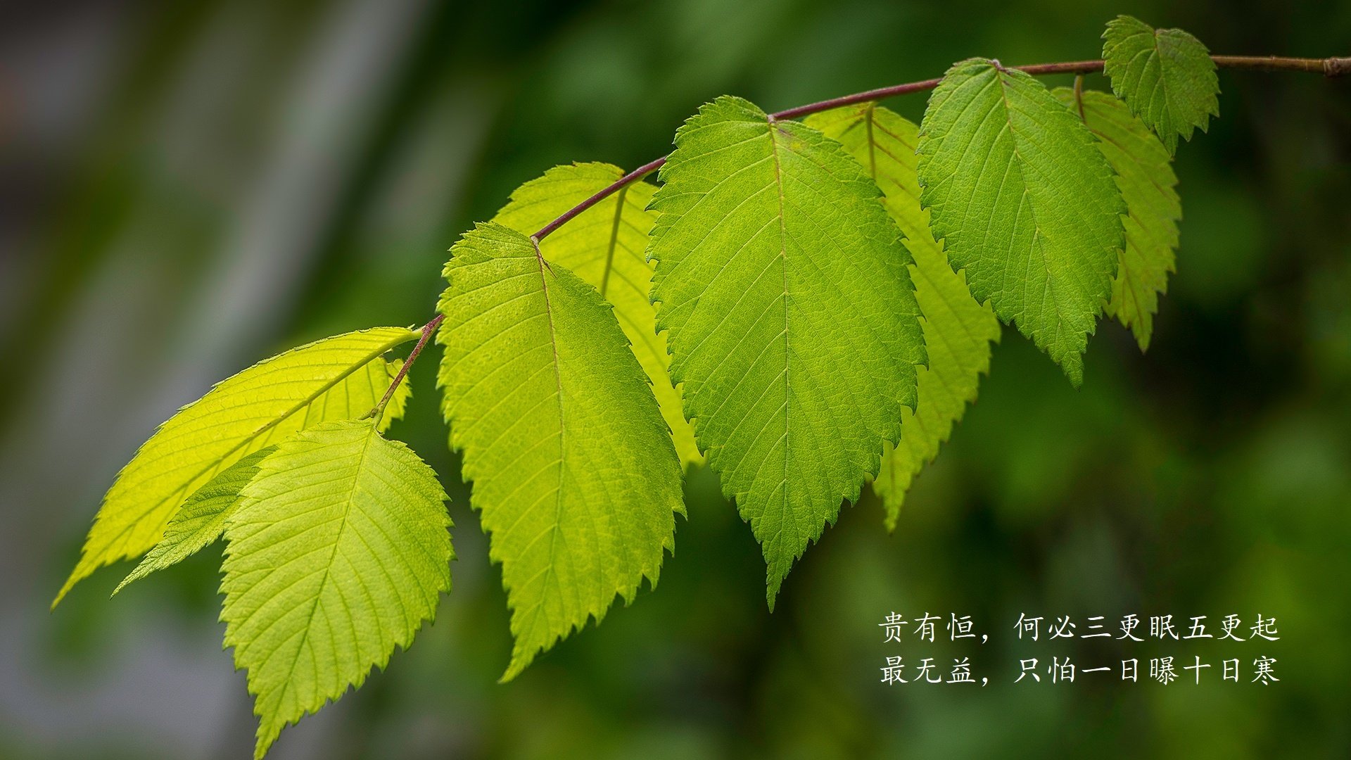 法甲：巴黎5-1大胜蒙彼利埃，姆巴佩传射建功，巴黎2比0蒙彼利埃