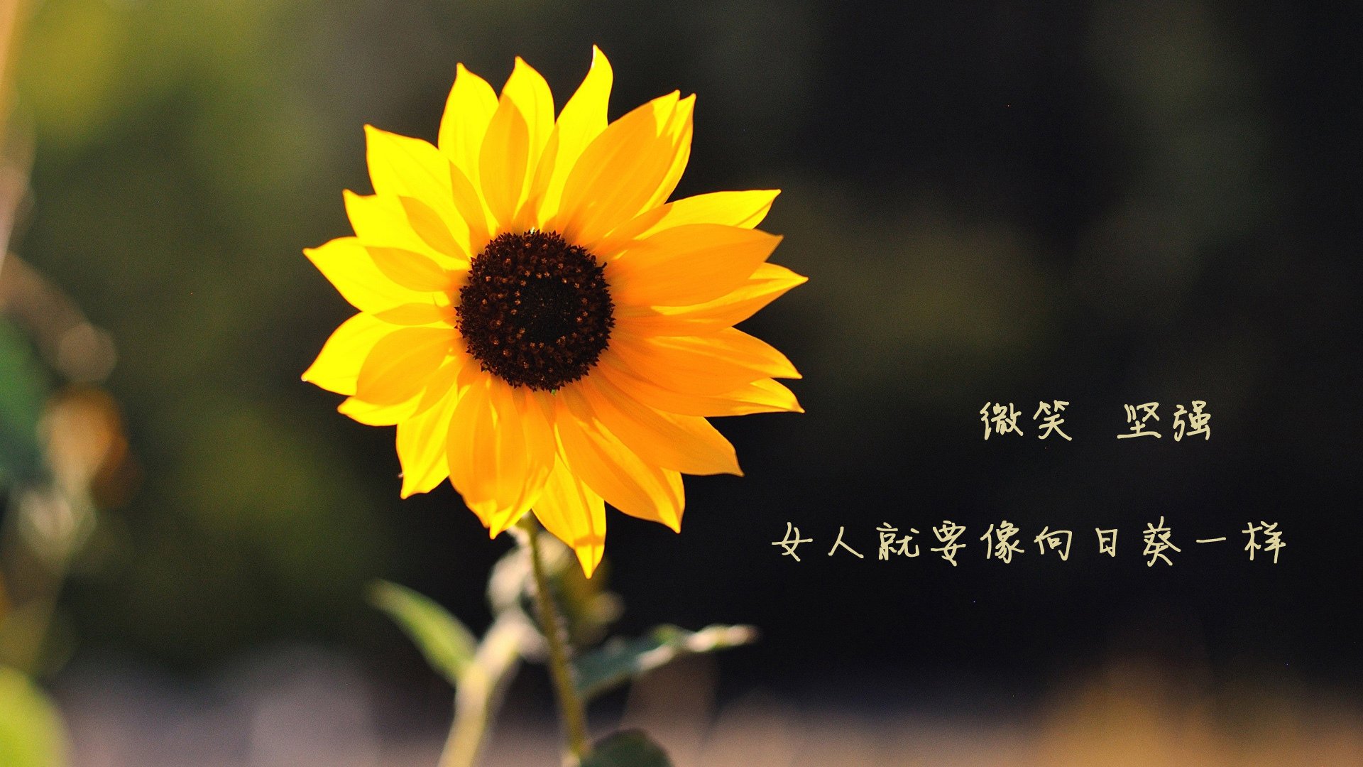 Gen.G赛季总结与未来展望，赛季结束2020