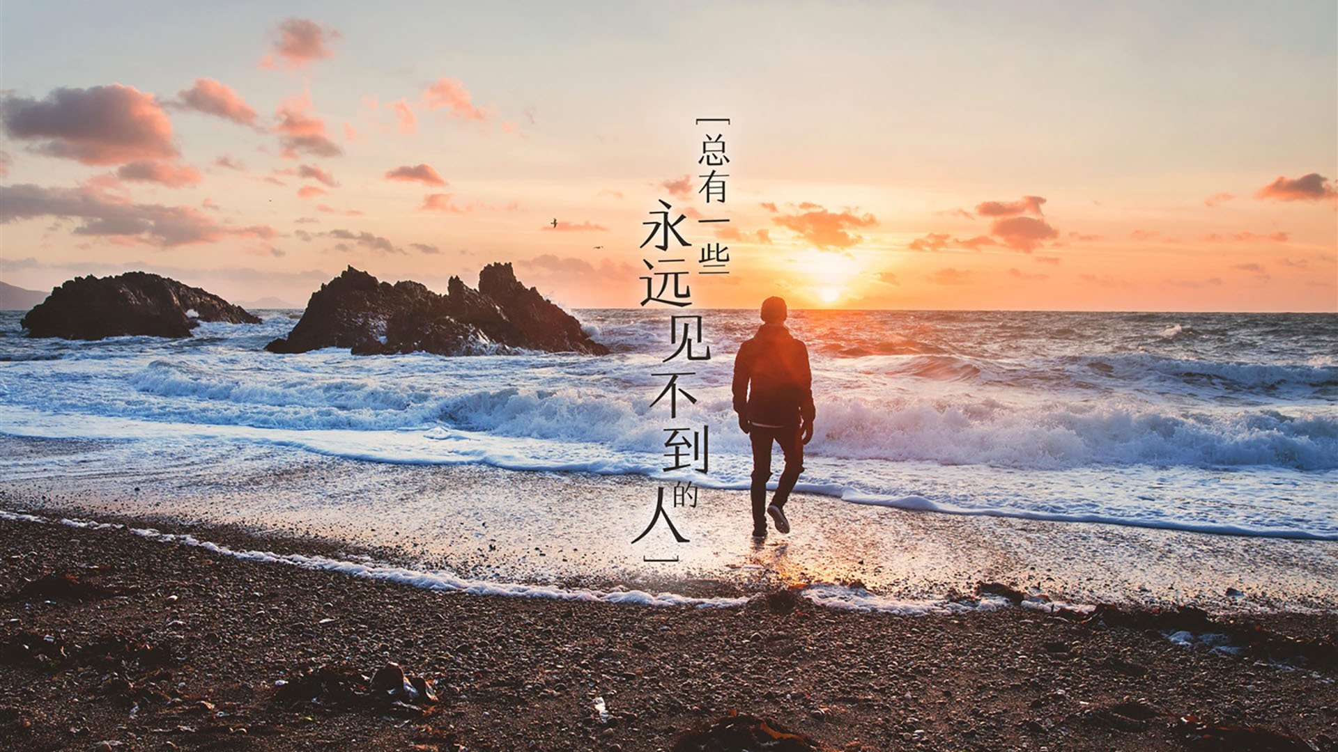 荷兰马术协会与亚洲马术协会建立合作关系，推动区域发展。，荷兰赛马