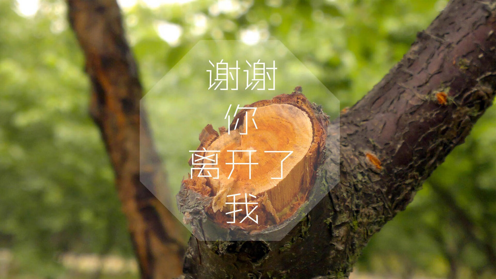 “行走大运河”等品牌活动贯穿全年各季，吸引大量参与者