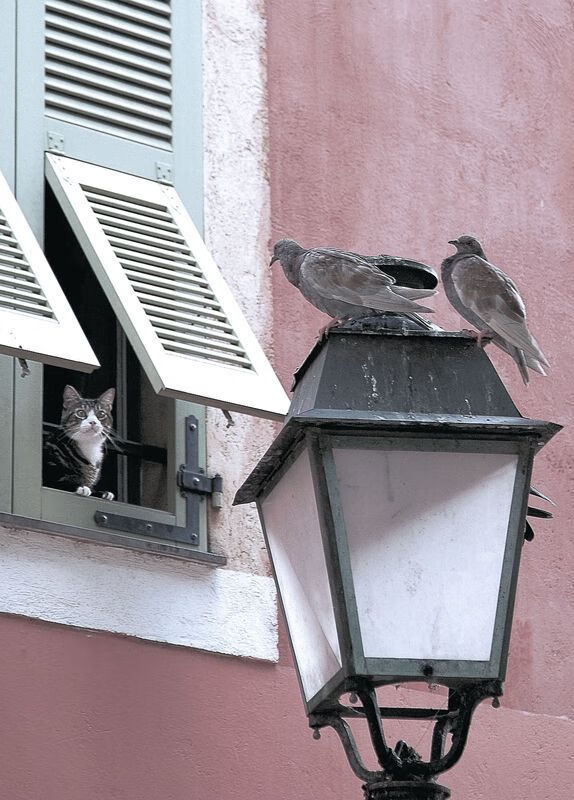 国内足球联赛热度持续升温,球队战术全面升级,足球联赛排名中国