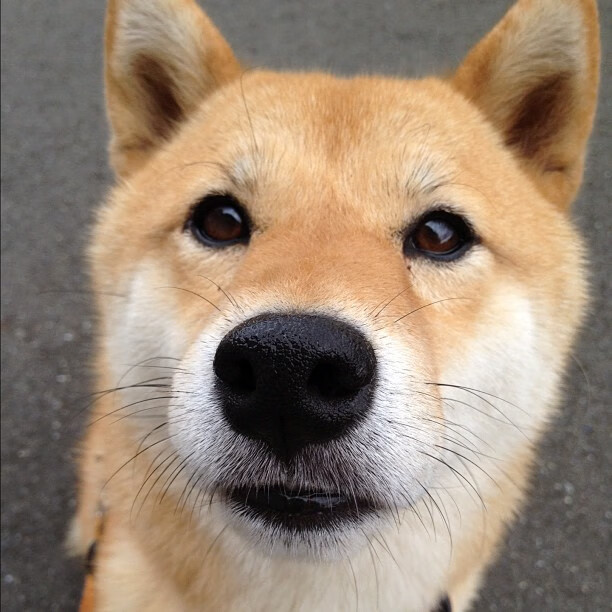 AYX GAMING-特色足球元素融入城市公共空间艺术设计，丰富城市文化氛围，探寻足球城的底蕴