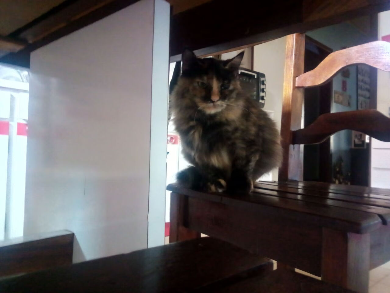 中国男篮重塑内线防守壁垒,中国男篮重塑内线防守壁垒是什么