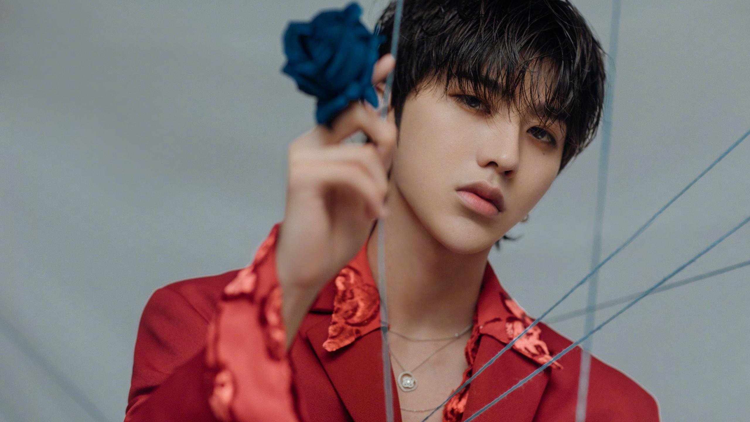 五大联赛数据模型预警哪支球队面临保级危险,五大联赛系数