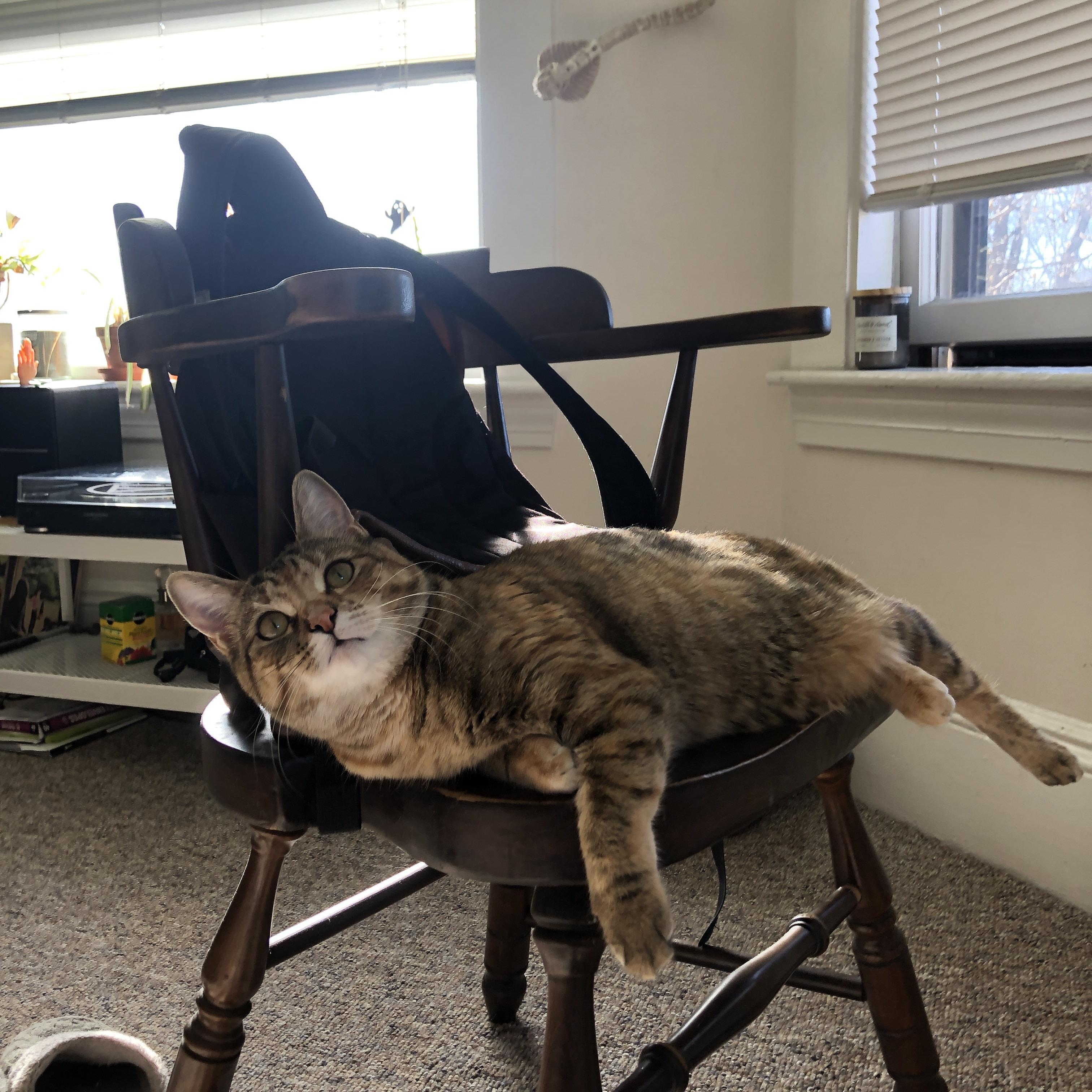 AIYOUXI.COM-乒乓球国家队专项数据平台助力成绩提升，国家乒乓球网站