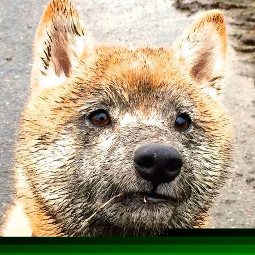 体育新闻中心上线赛事直播舆情同步监测系统,体育新闻网址大全