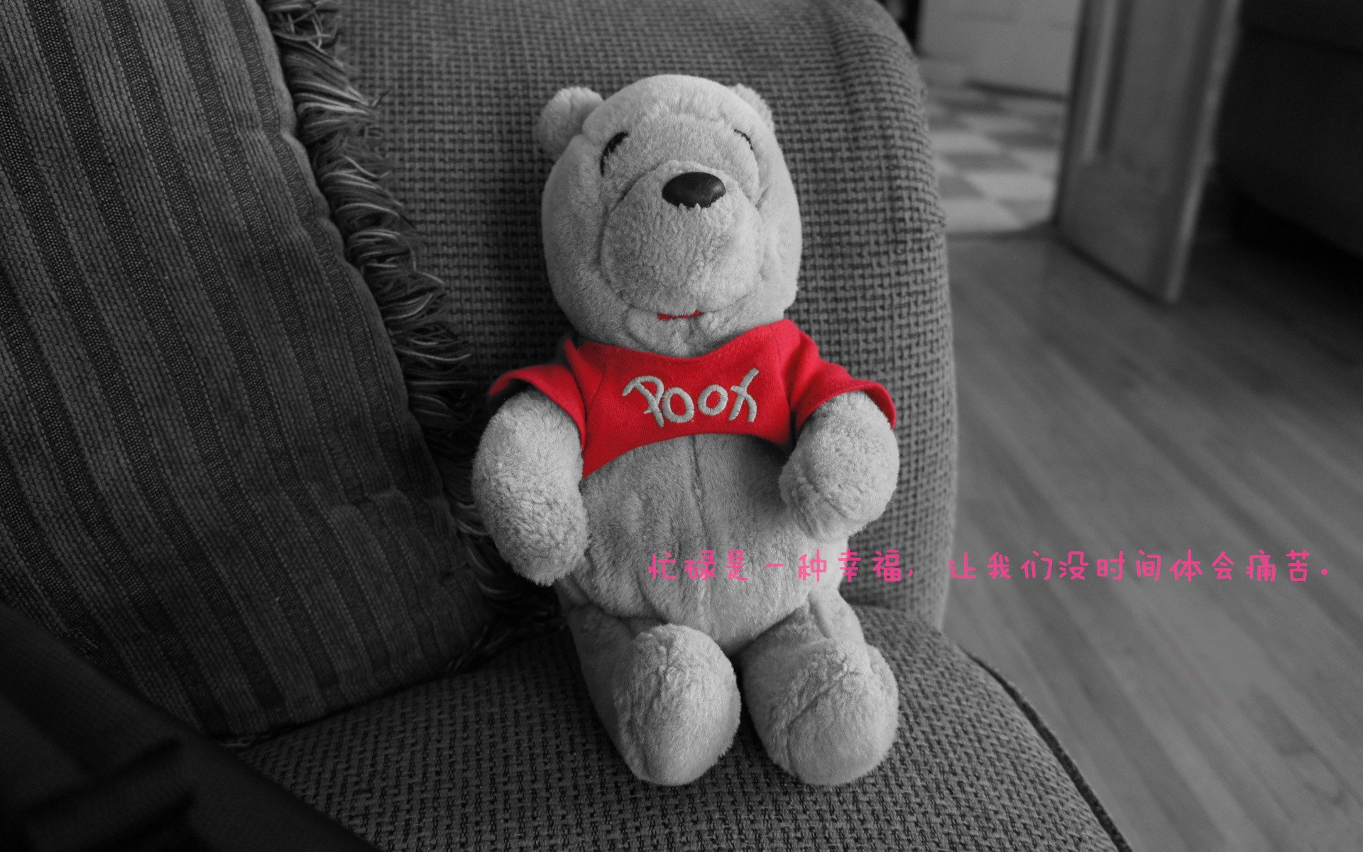 全运会文化节丰富群众参与形式，全运会群众比赛项目